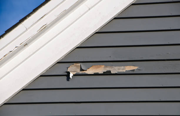 Best Same-Day Junk Removal Services  in Ferriday, LA
